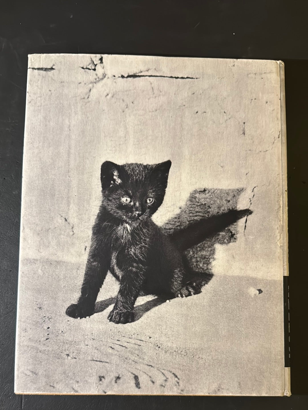 KATZEN