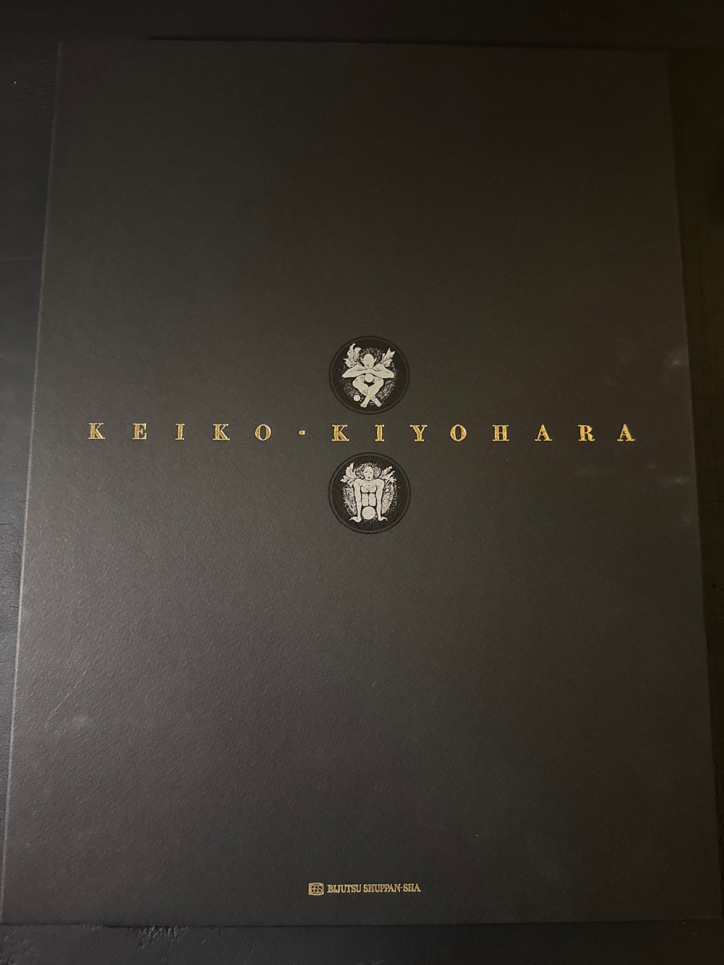 Keiko Kiyohara Artworks