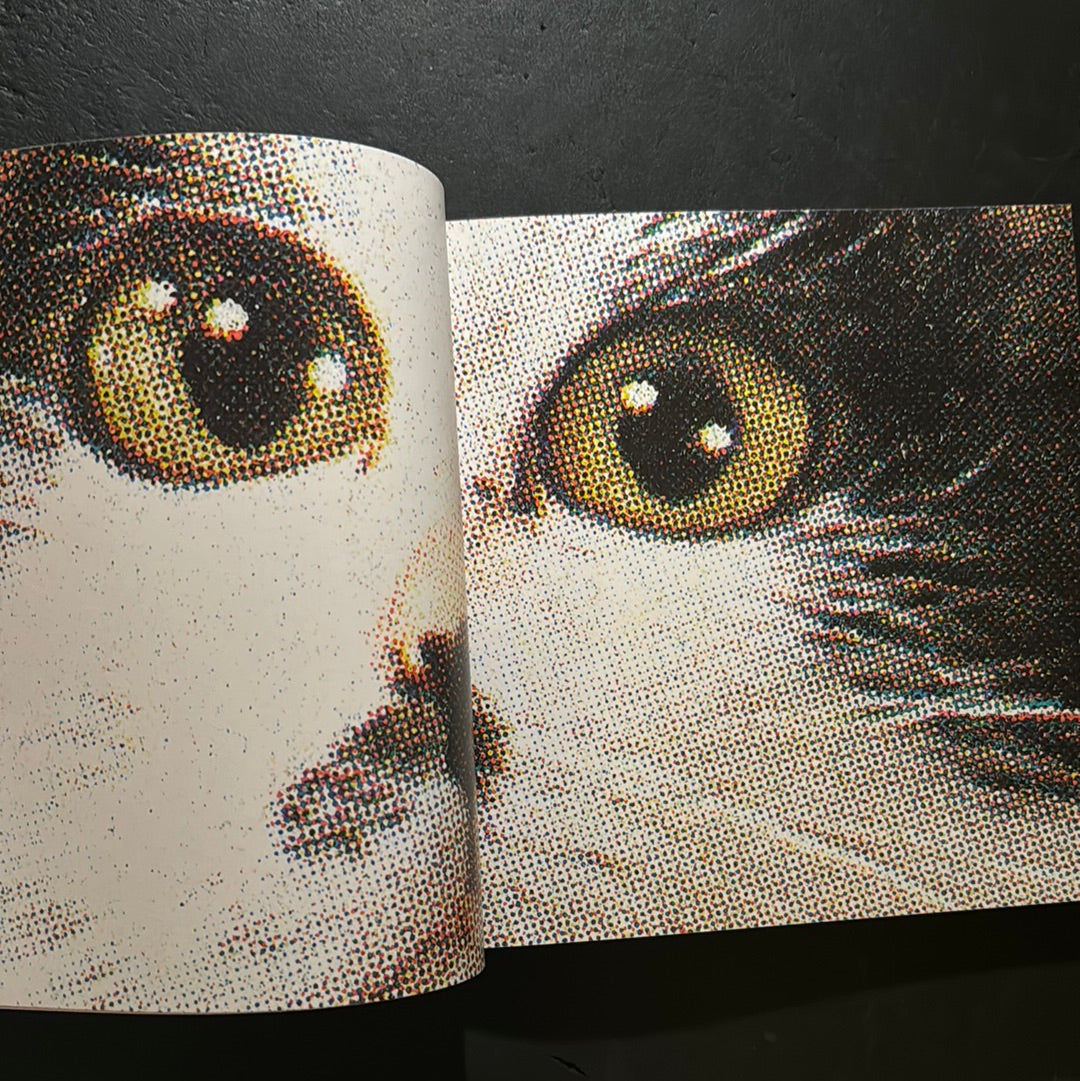 Rock'n' Roll CATS