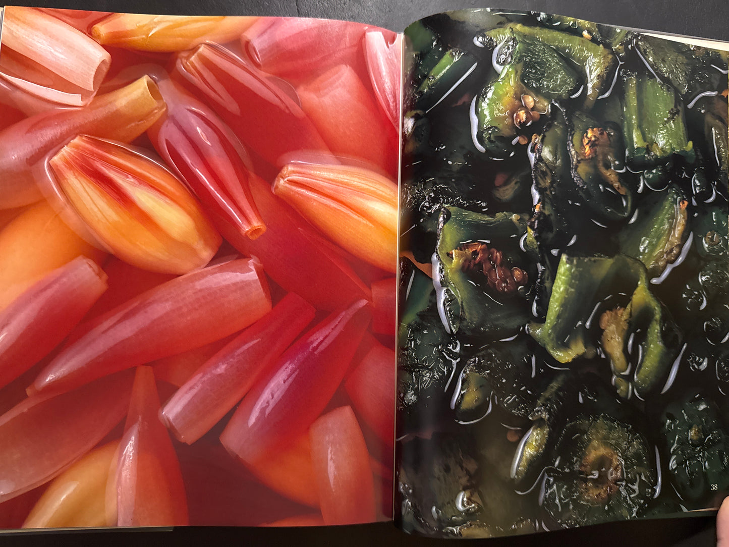 HYAKUMI SAISAI (A Hundred Tastes and Vegetables)