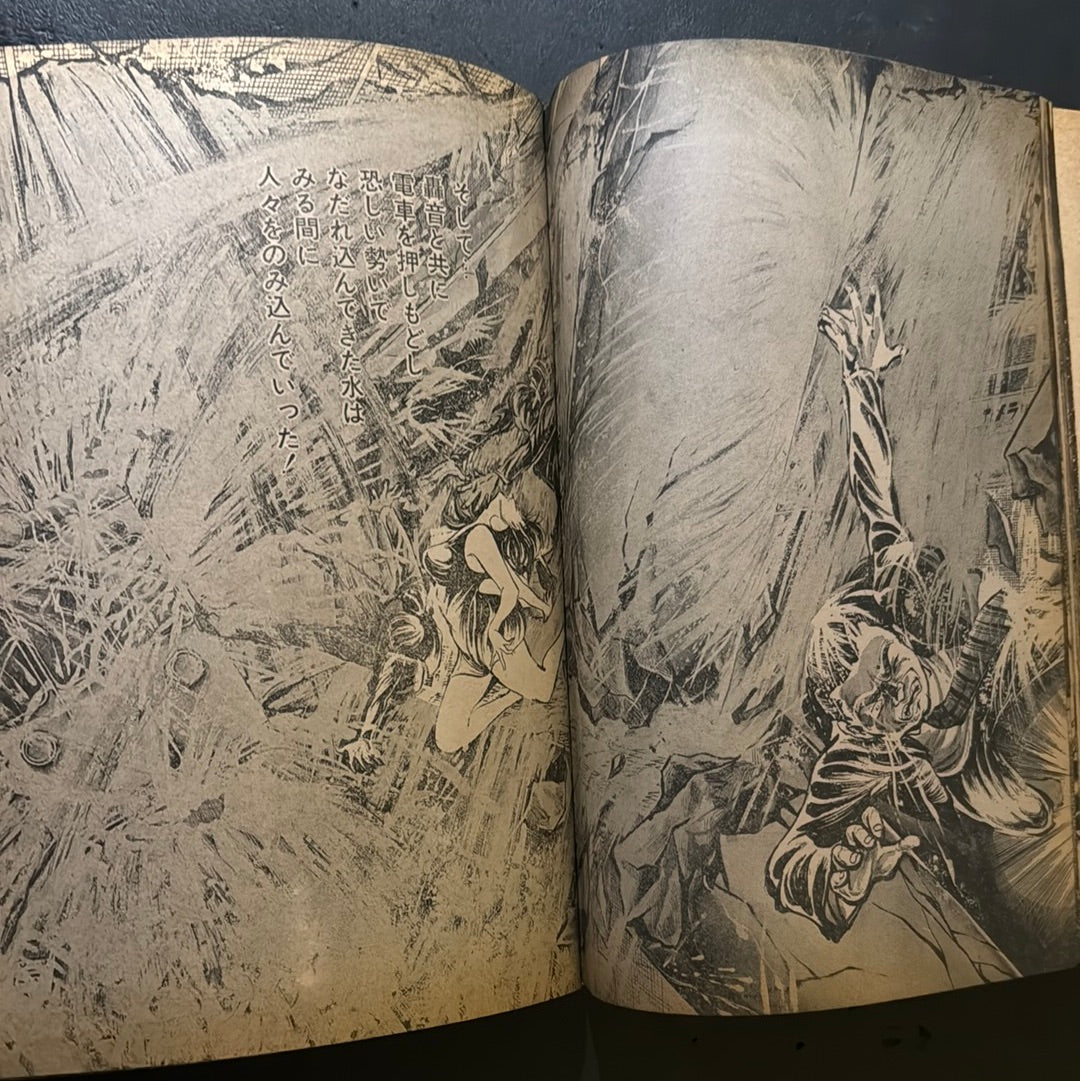 Burning World vol.1 & 2 complete set