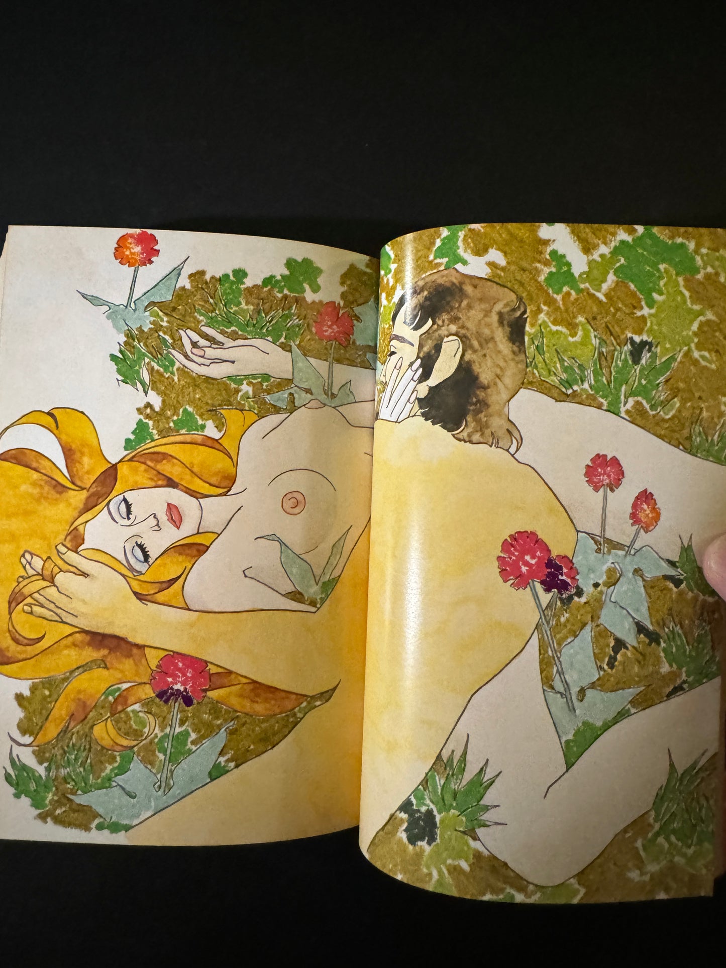 The Joy of Sex