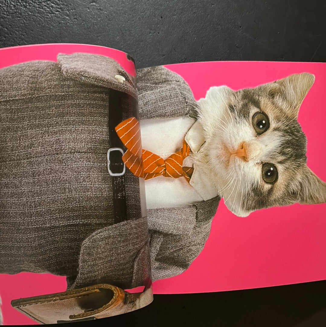 Rock'n' Roll CATS