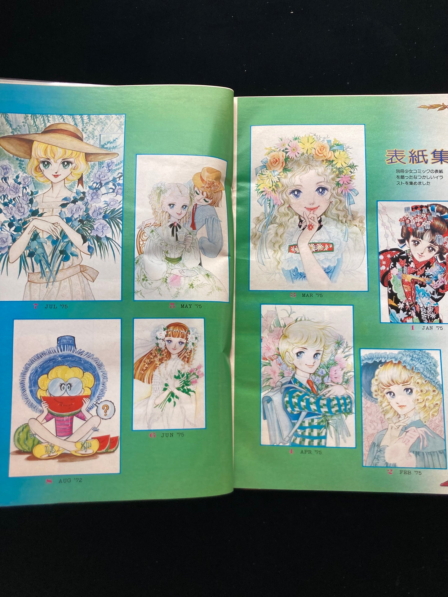 "Flower Deluxe" Keiko Takemiya illustration book