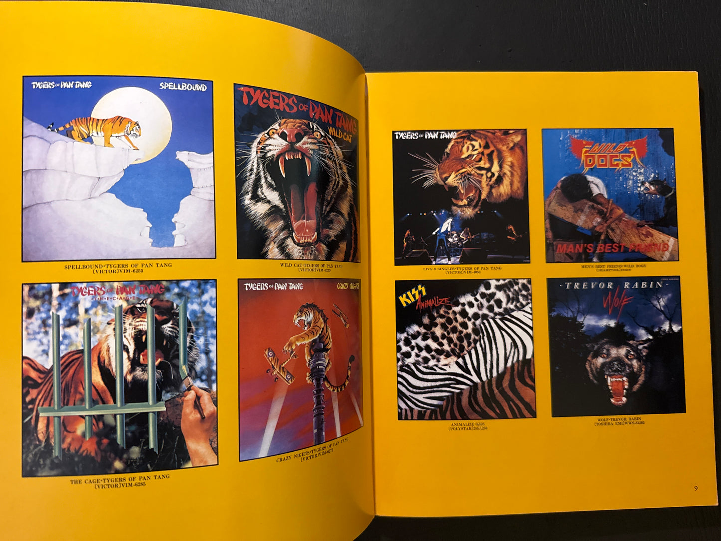 VISUAL OF HEAVYMETAL