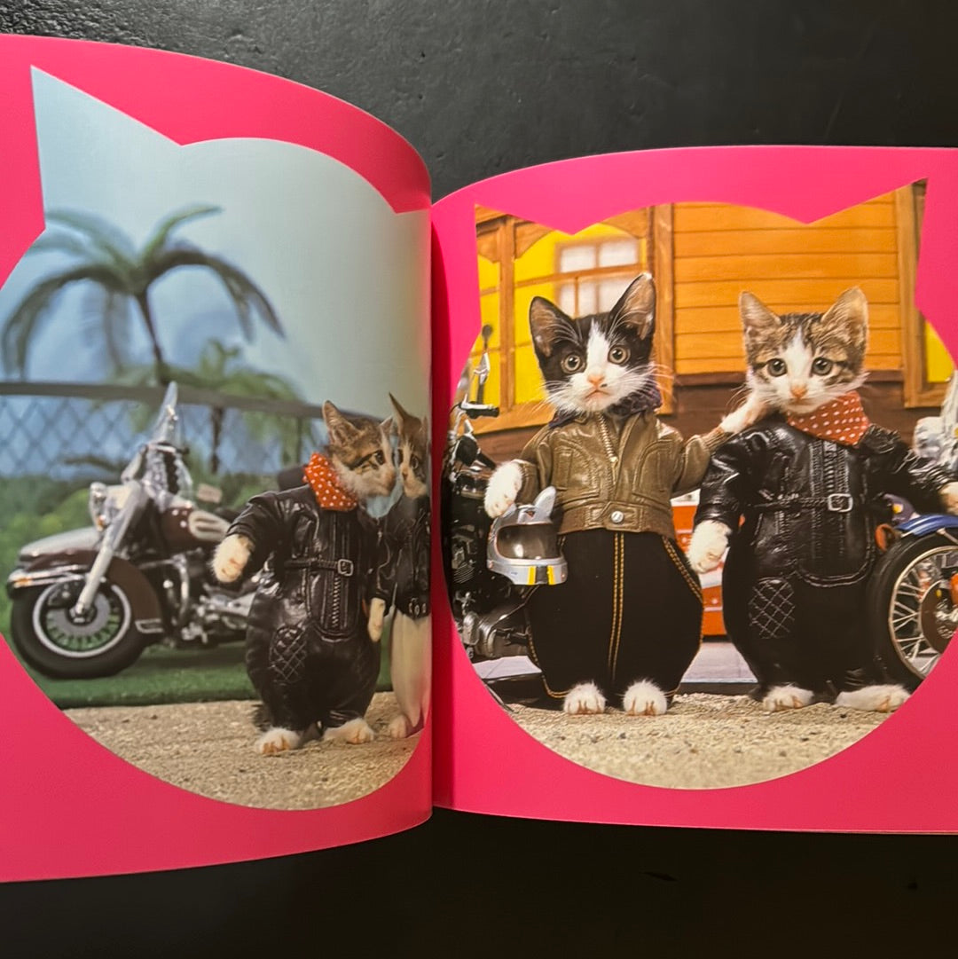 Rock'n' Roll CATS