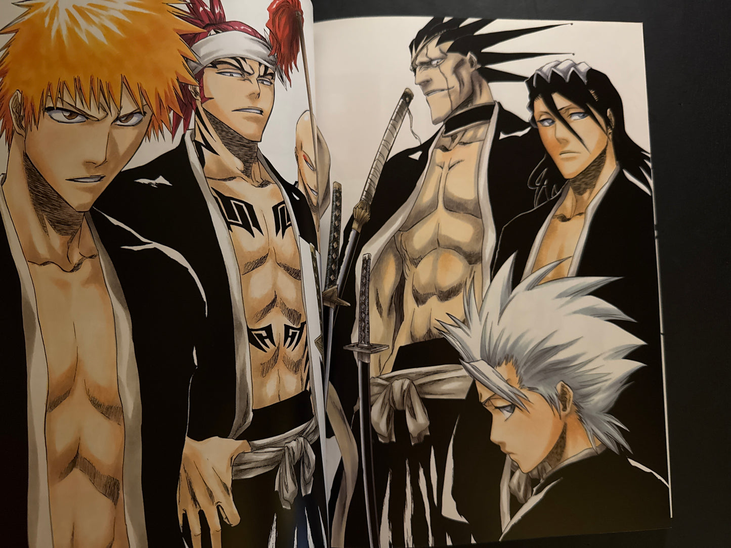 BLEACH Illustrations : All Colour But The Black