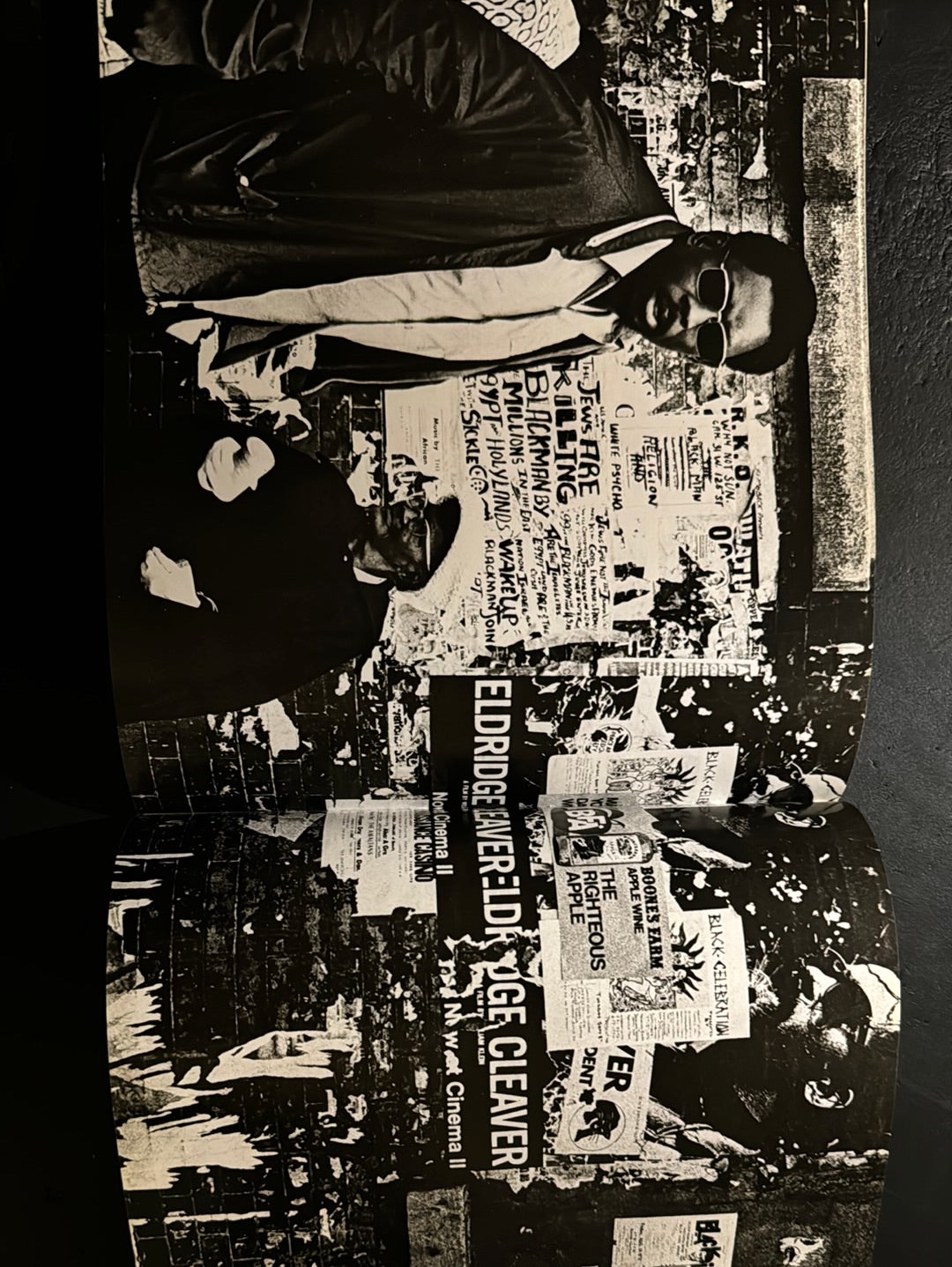 HARLEM : BLACK ANGELS