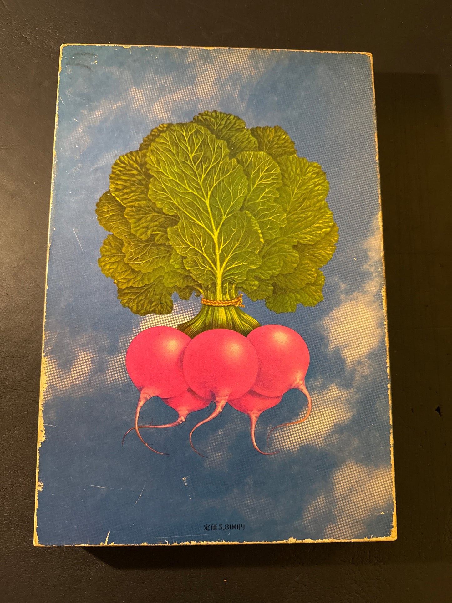 Tadashi Ohashi's Natural History