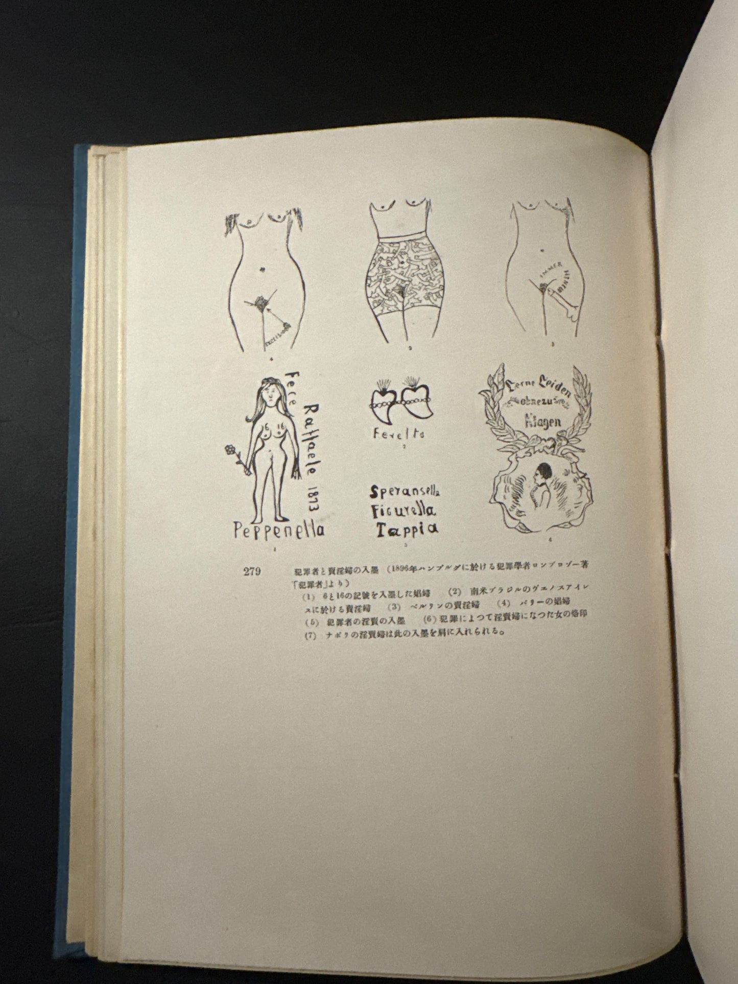 Crime science research materials. Punishment, perverted sexual desires, tattoo research