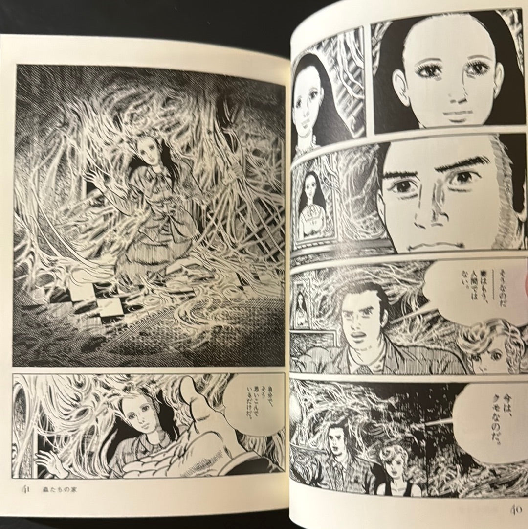 Mushi tachi no Ie (house of insects)