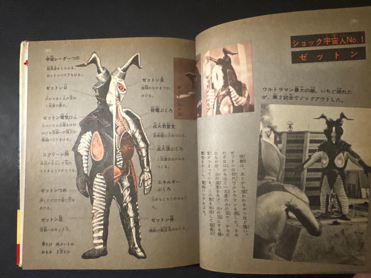 Kaiju Anatomy - Kaiju Illustrated Introduction 18