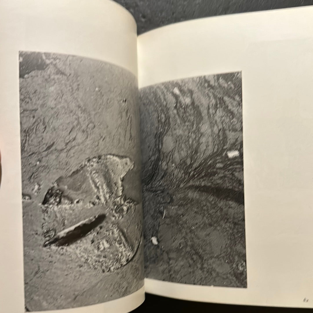 JOKYO 1965