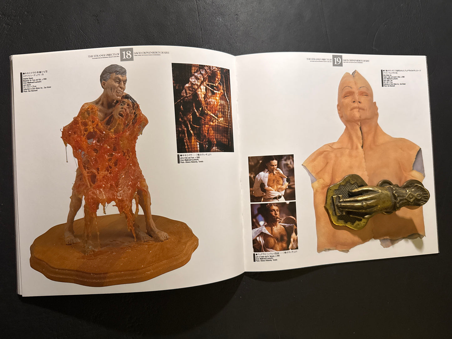 THE STRANGE OBJECTS OF DAVID CRONENBERG'S DESIRE