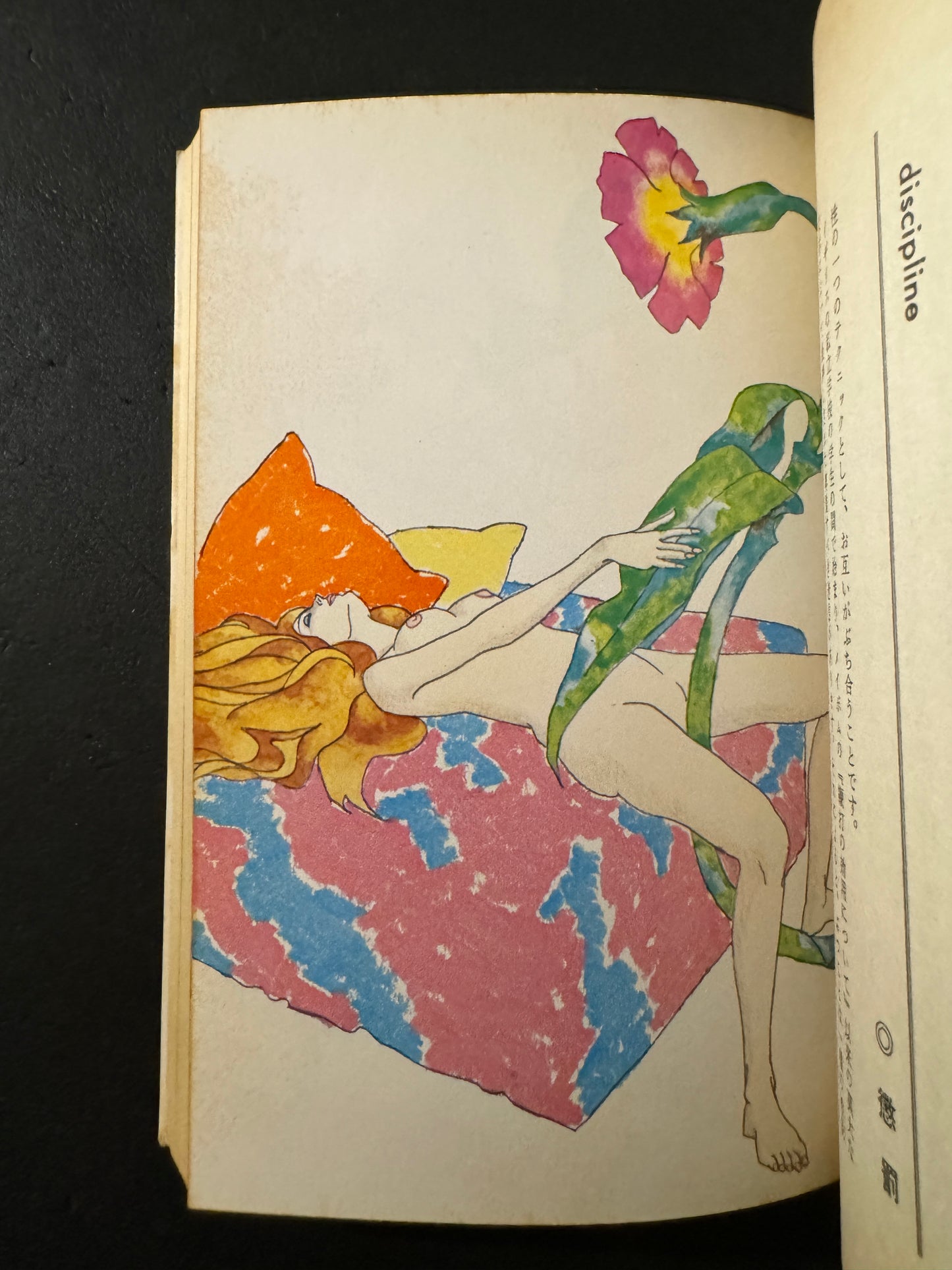 The Joy of Sex