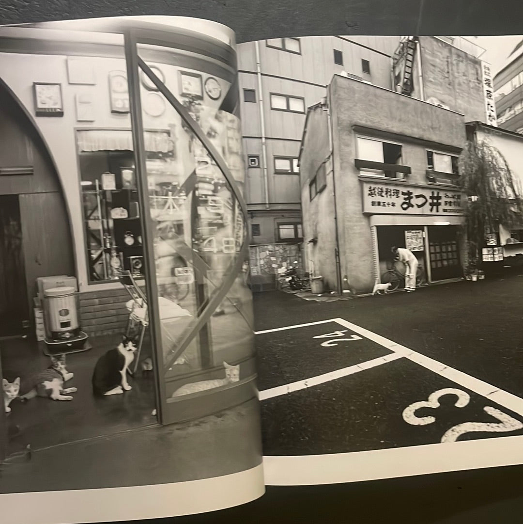 Living Cats in Tokyo