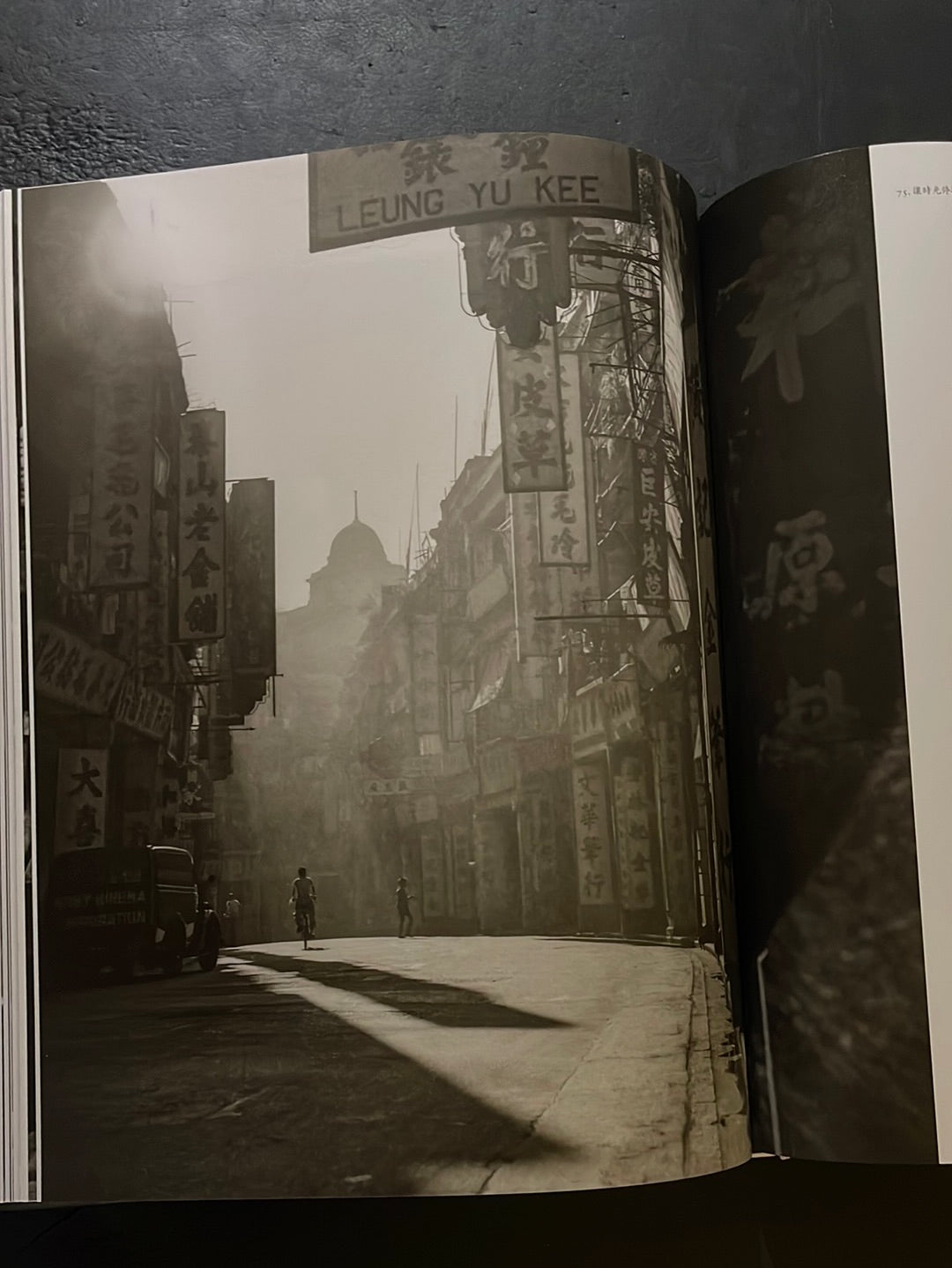 PORTRAIT OF HONG KONG