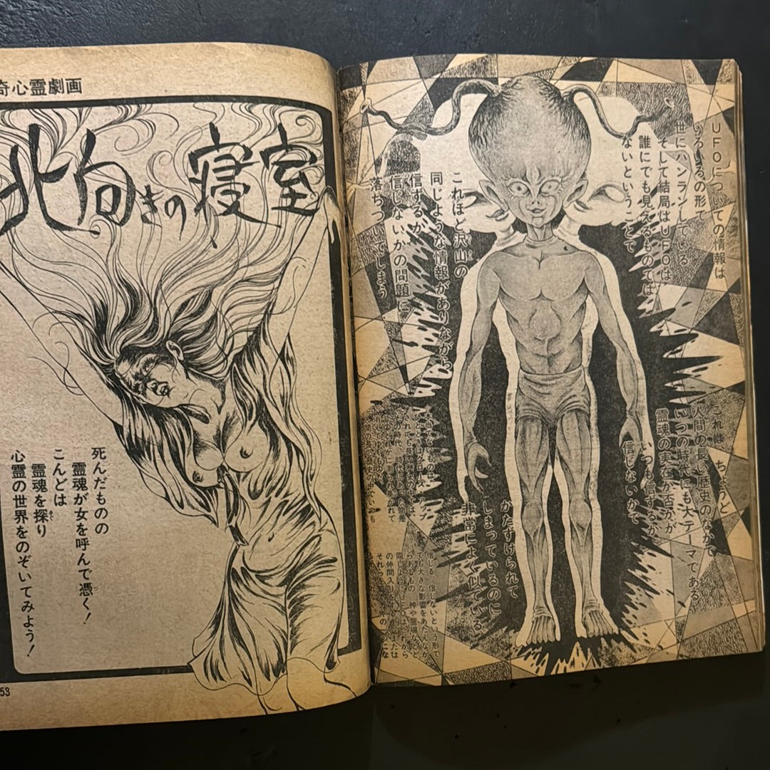 Burning World vol.1 & 2 complete set