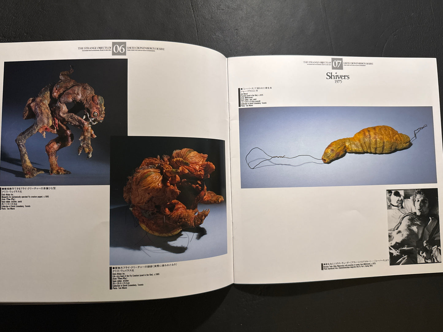 THE STRANGE OBJECTS OF DAVID CRONENBERG'S DESIRE