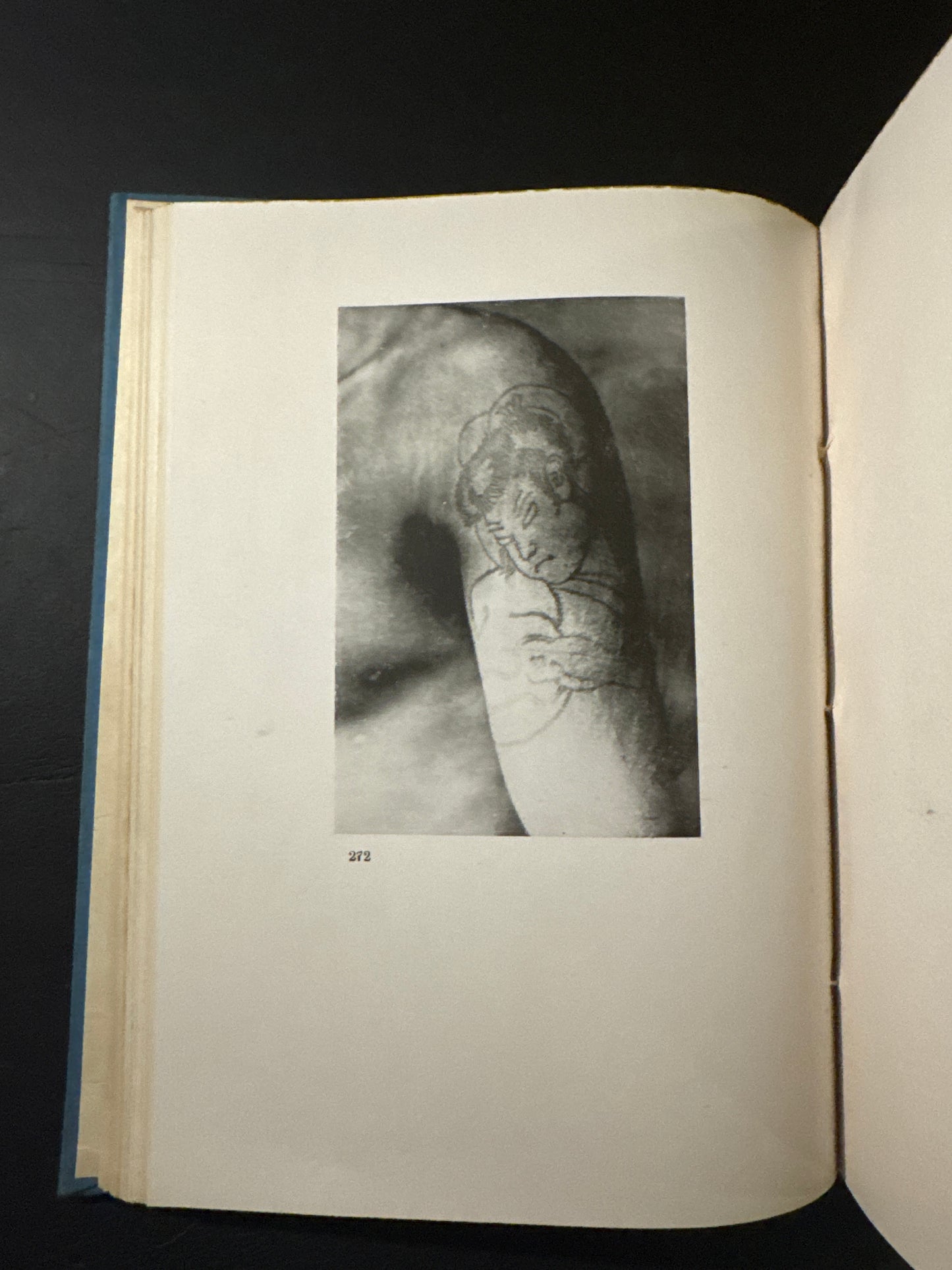 Crime science research materials. Punishment, perverted sexual desires, tattoo research