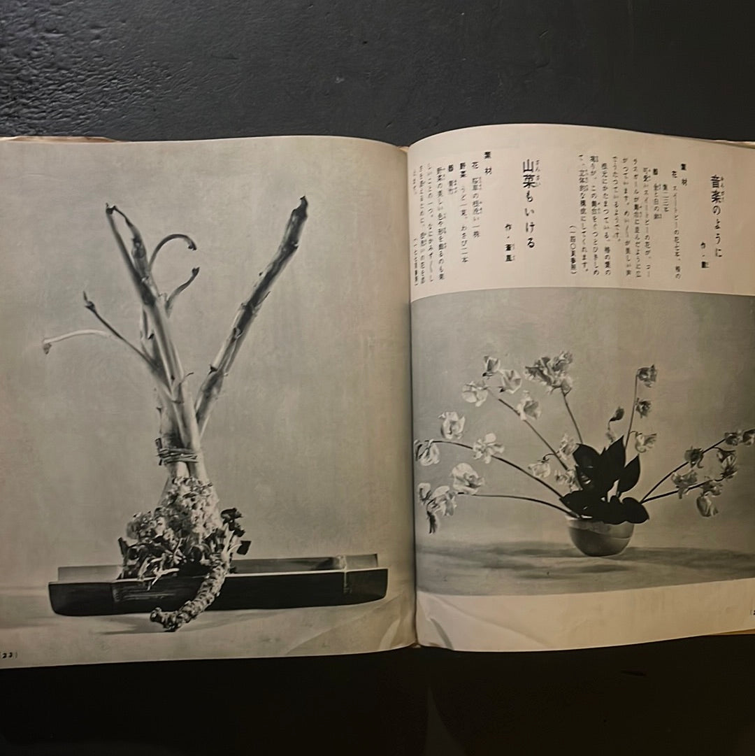 Sogetsu Ikebana at Home