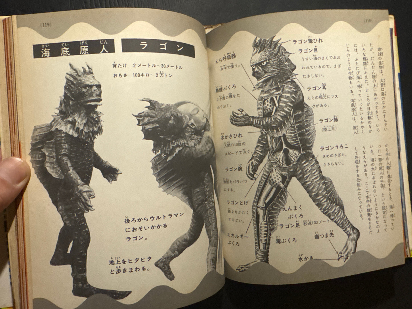 Kaiju Anatomy - Kaiju Illustrated Introduction 18