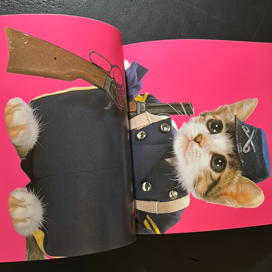 Rock'n' Roll CATS