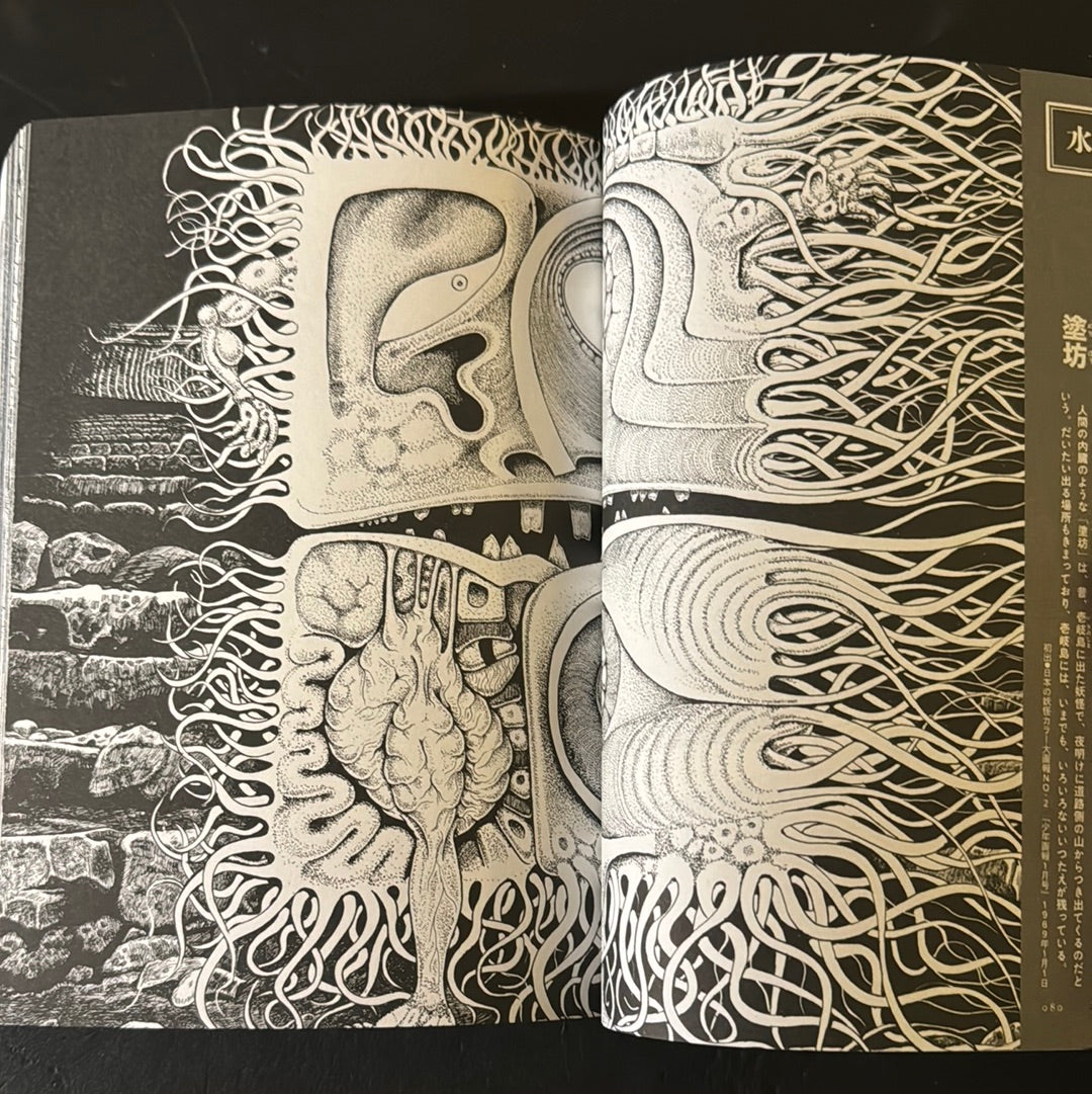 MIZUKI SHIGERU Collection of comics perfection Yokai Art Collection 2