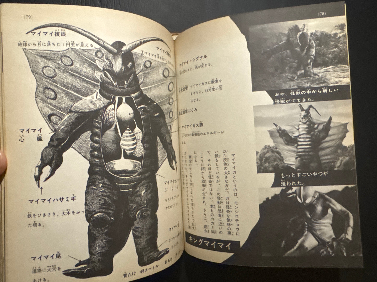 Kaiju Anatomy - Kaiju Illustrated Introduction 18
