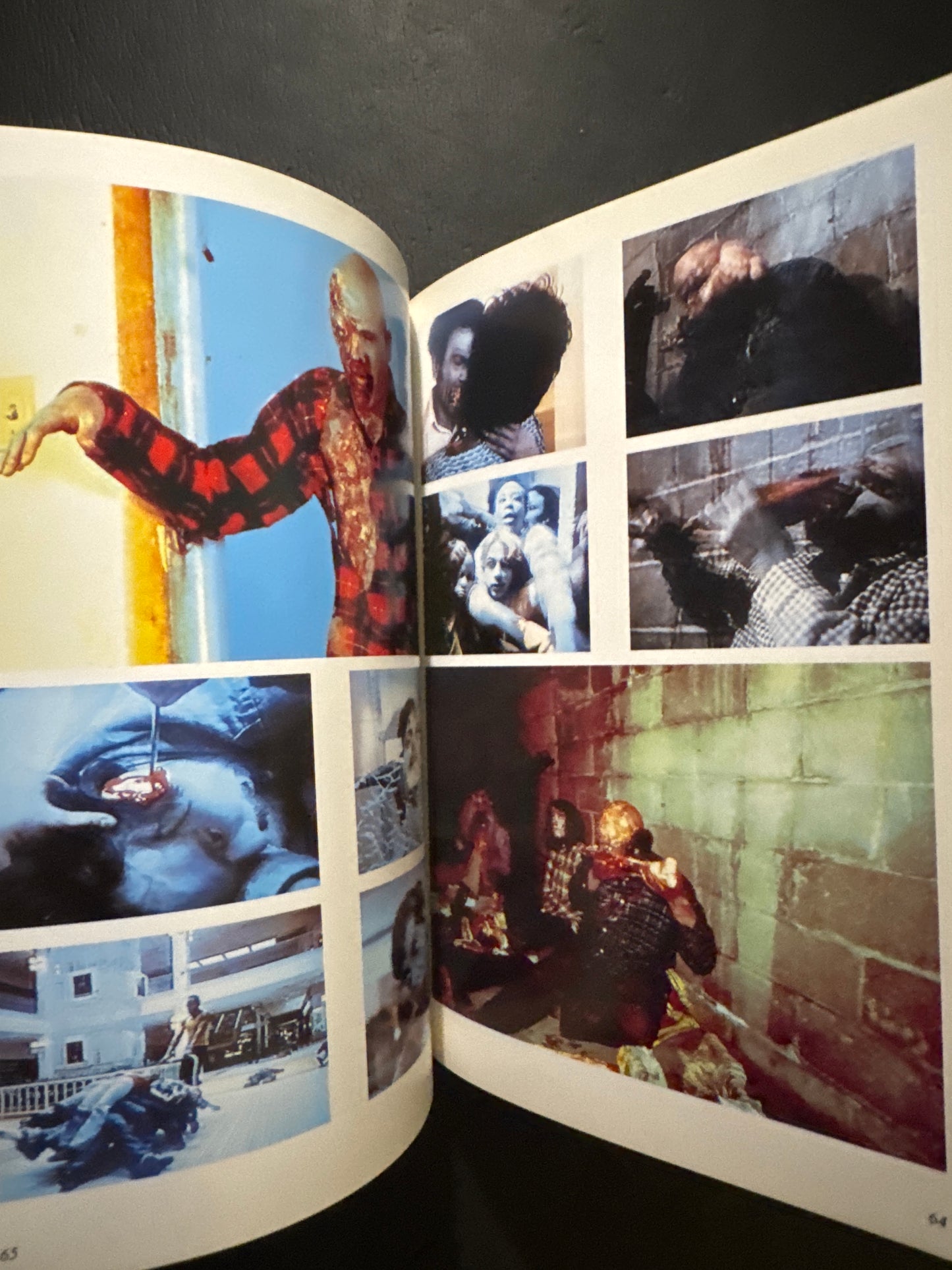 A World of Blood-Splattered Horror — The Splatter Films of Lewis and Romero
