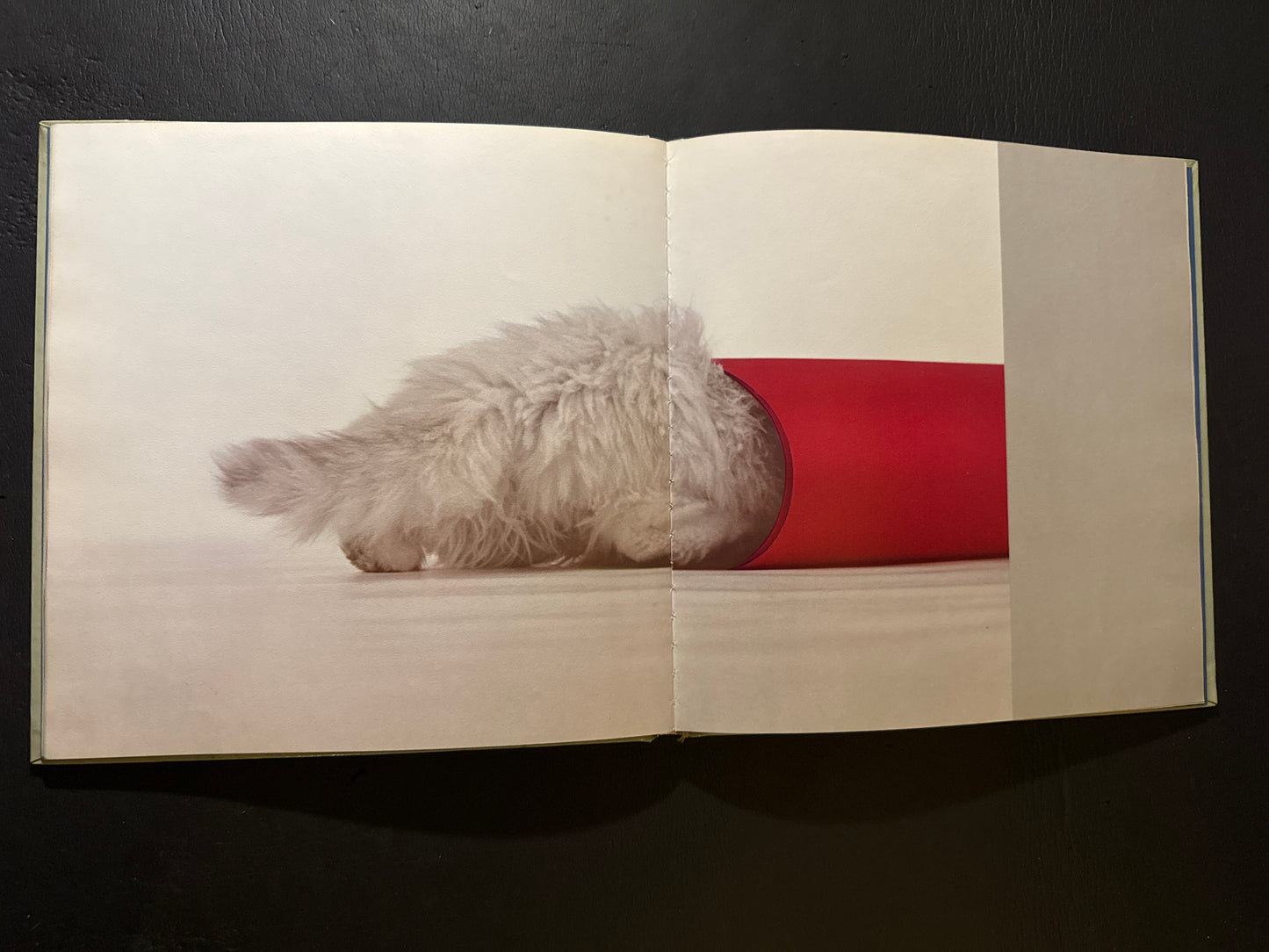 NEKO