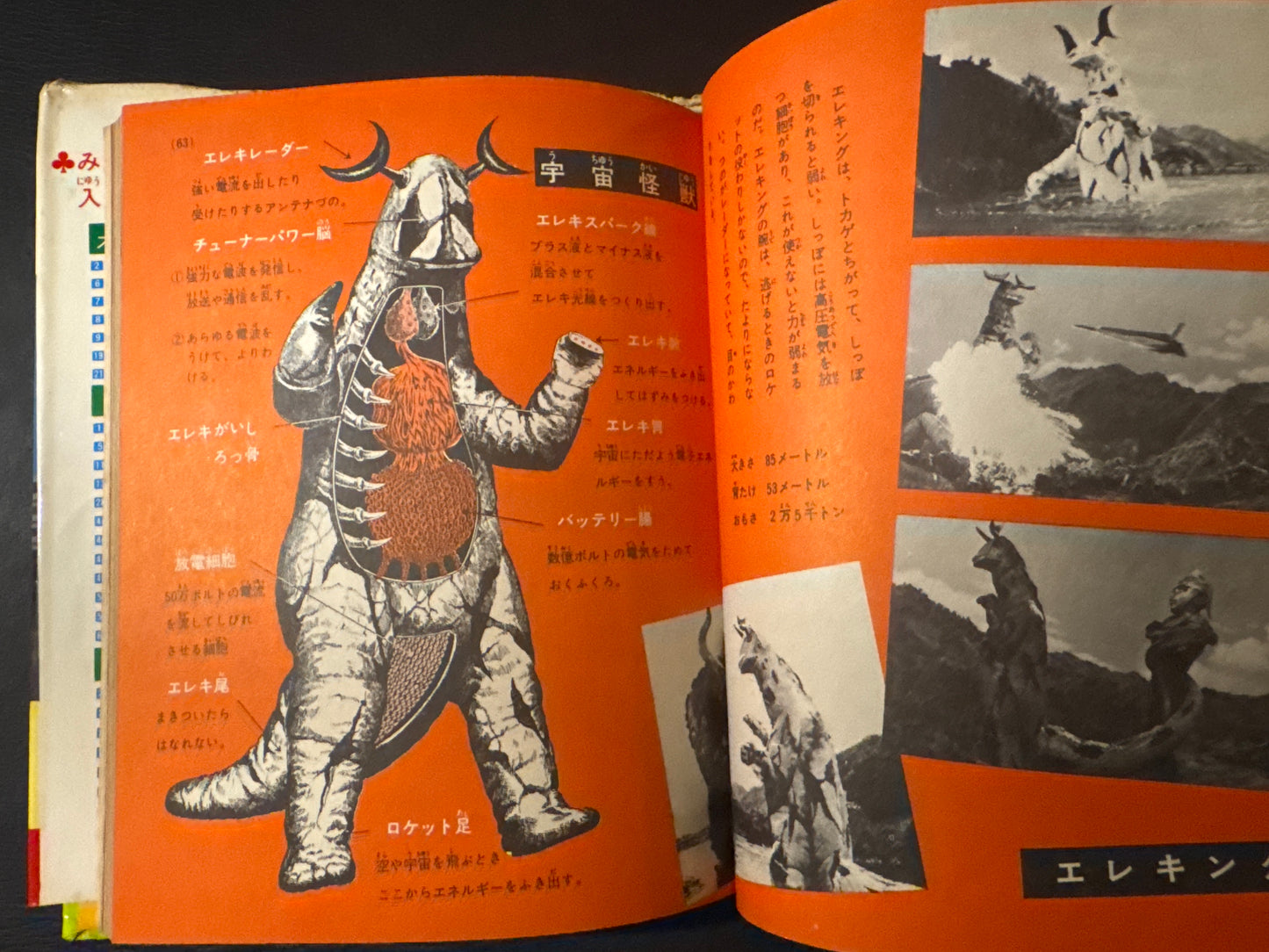 Kaiju Anatomy - Kaiju Illustrated Introduction 18