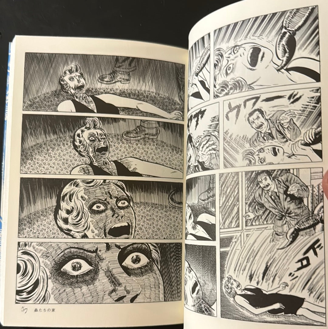 Mushi tachi no Ie (house of insects)