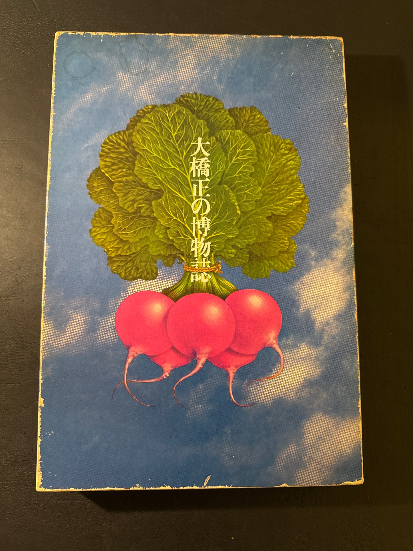 Tadashi Ohashi's Natural History
