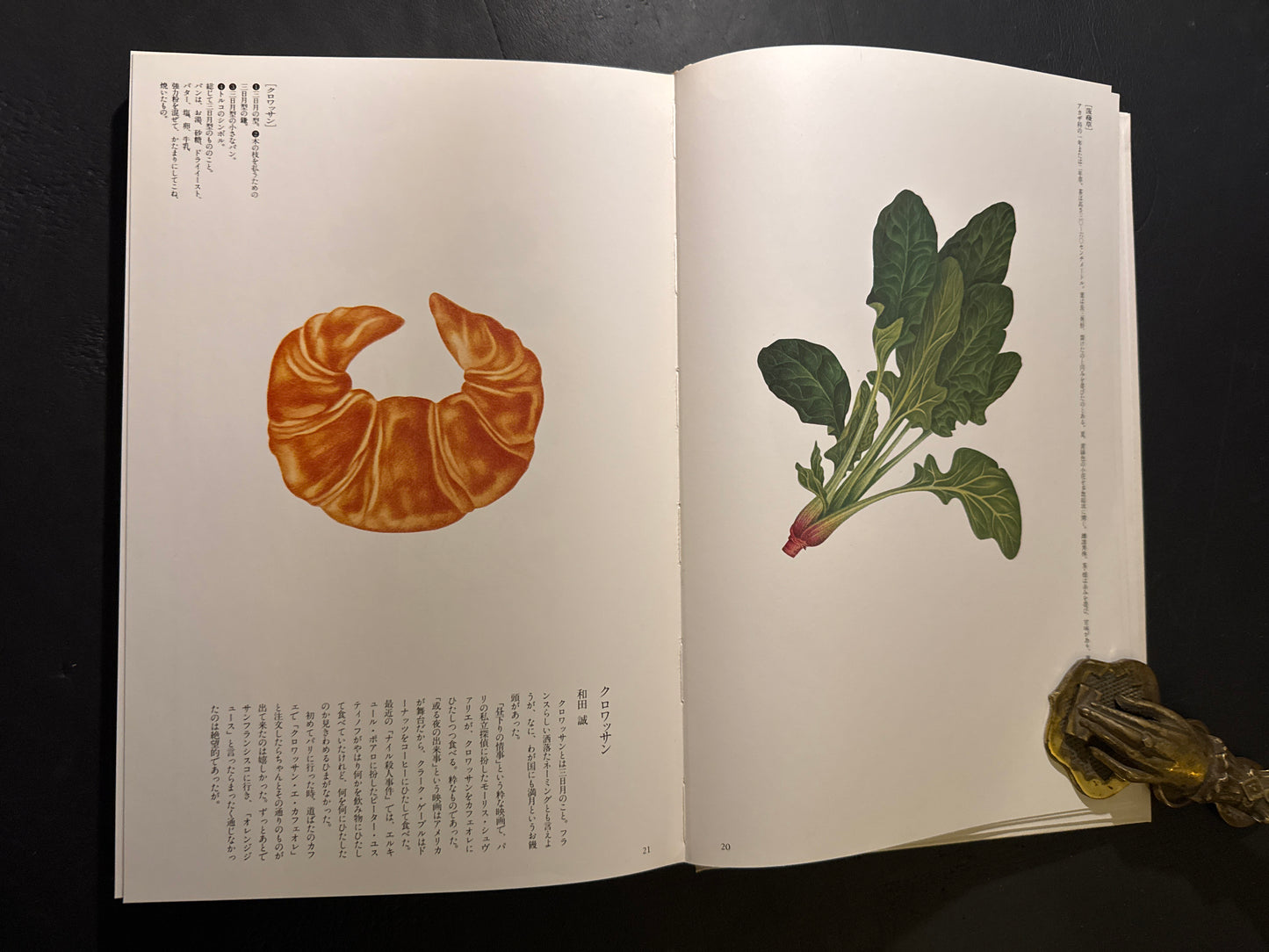Tadashi Ohashi's Natural History