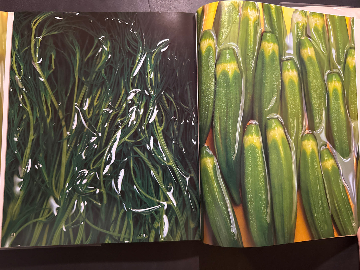 HYAKUMI SAISAI (A Hundred Tastes and Vegetables)