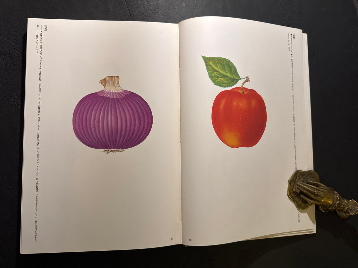Tadashi Ohashi's Natural History