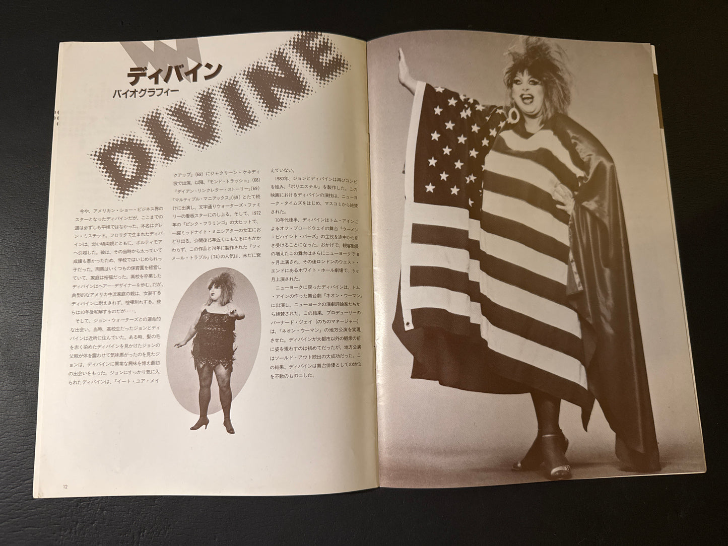 Pink Flamingos pamphlet