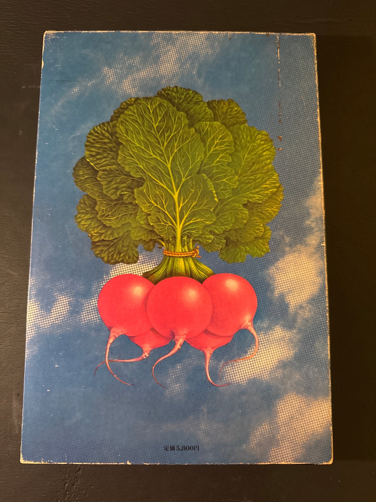 Tadashi Ohashi's Natural History