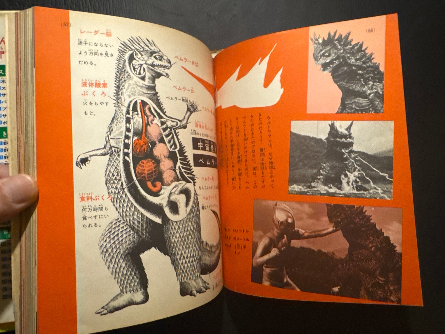 Kaiju Anatomy - Kaiju Illustrated Introduction 18