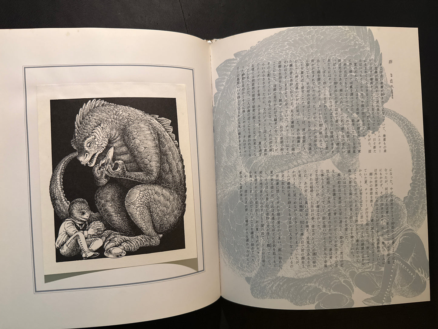 Somnium: A Chronicle of Nocturnal Flight