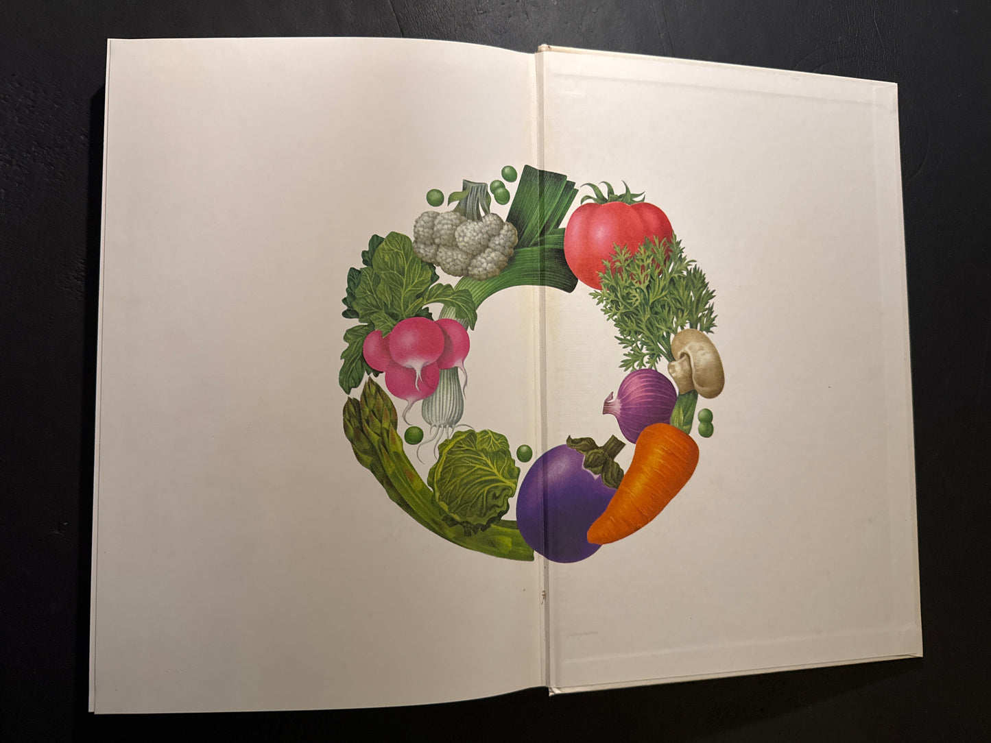 Tadashi Ohashi's Natural History