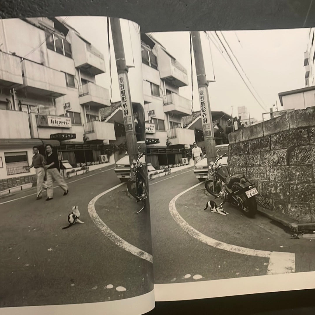 Living Cats in Tokyo