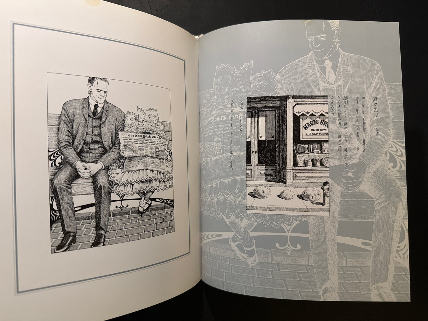 Somnium: A Chronicle of Nocturnal Flight
