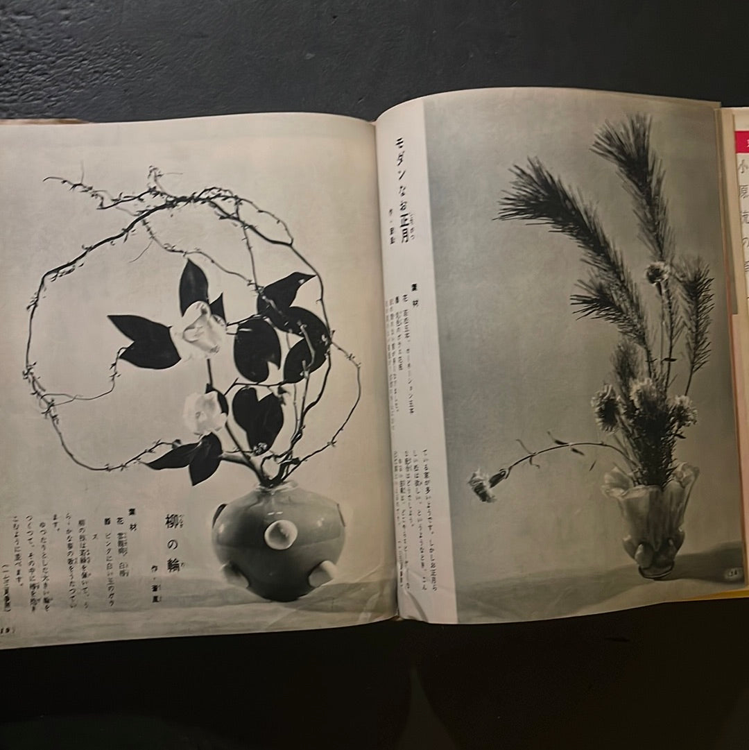 Sogetsu Ikebana at Home