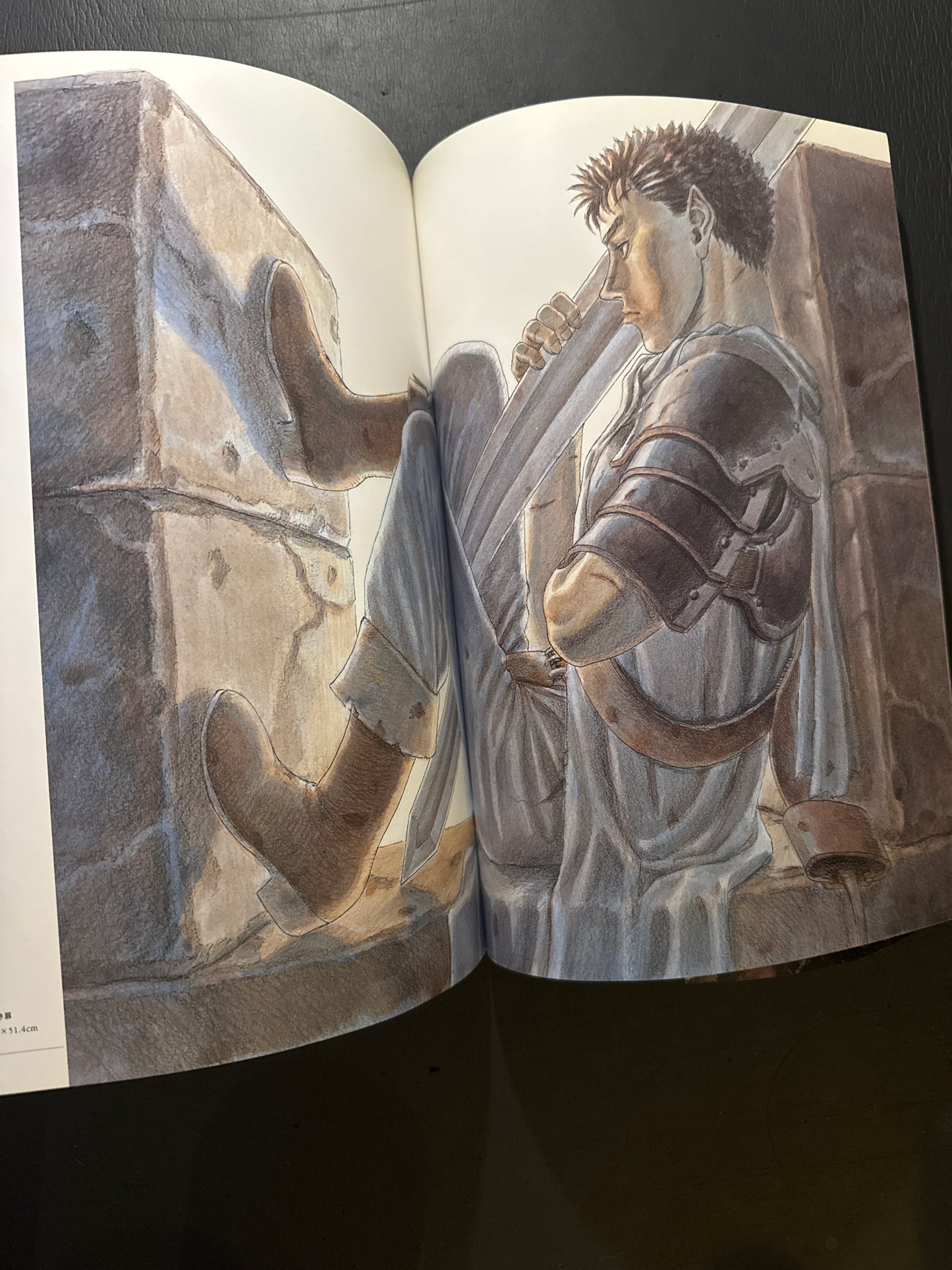 BERSERK Illustrations file