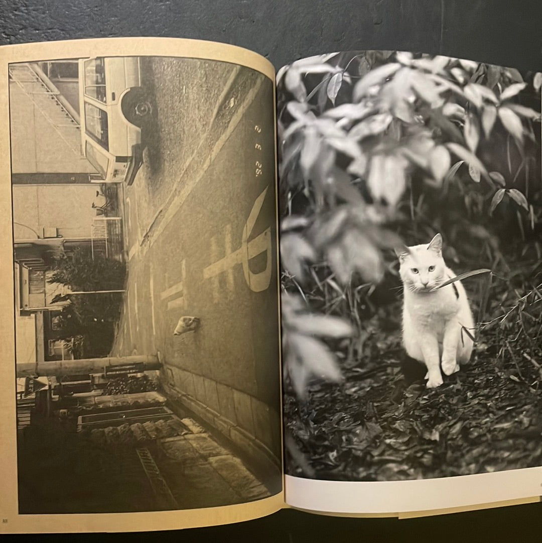 Living Cats in Tokyo