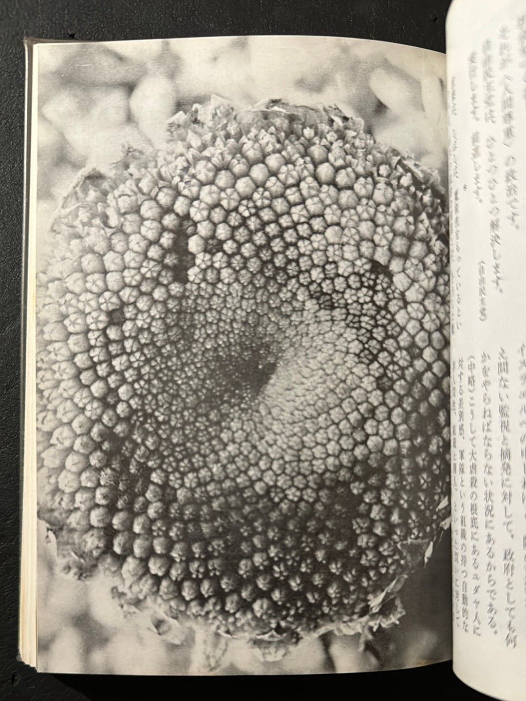 JOKYO 1965