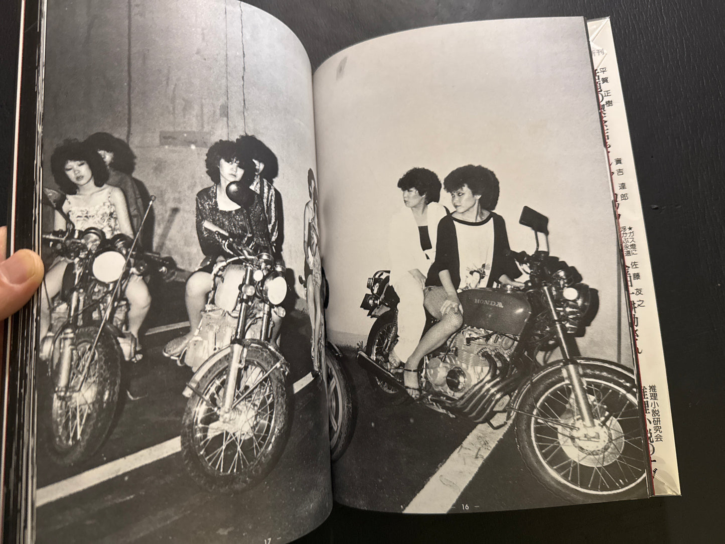 Devils Wearing Rouge: A Documentary Photo Book of Female Bosozoku