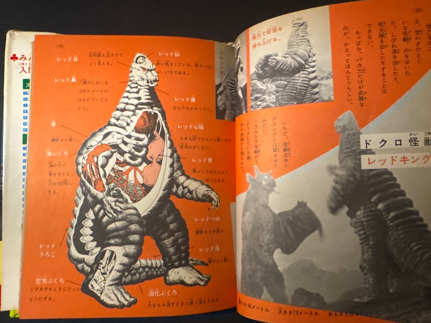 Kaiju Anatomy - Kaiju Illustrated Introduction 18